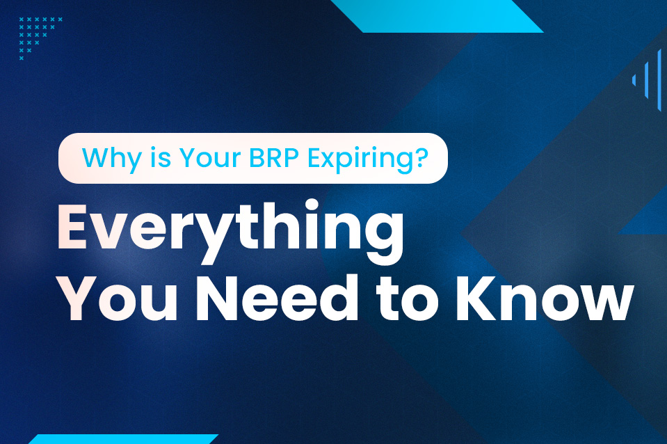 Why are BRPs due to expire on 31 December 2024?